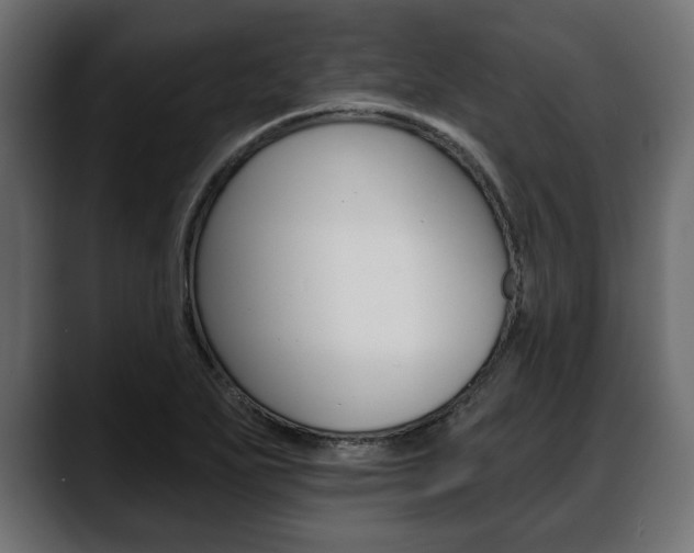 X0000088651271200705250934