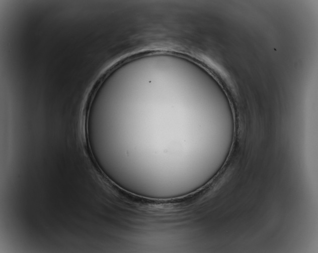 X0000088651272200705250934
