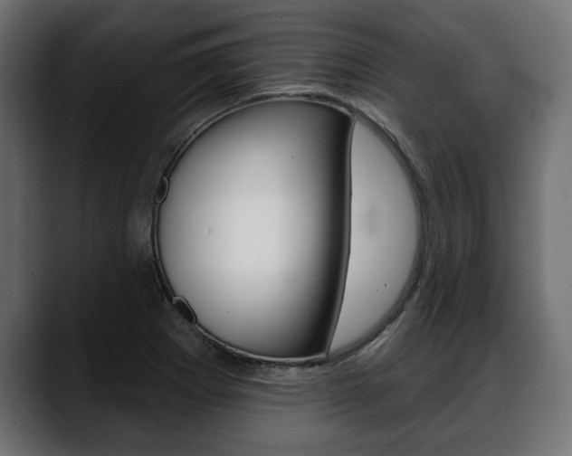 X0000088651273200705250934