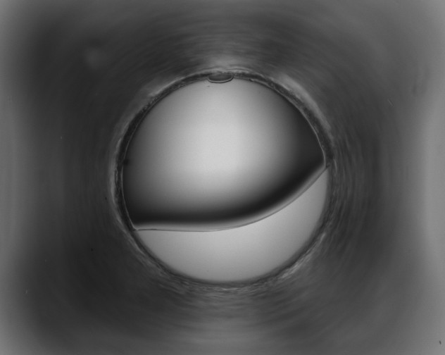 X0000088651277200705250934
