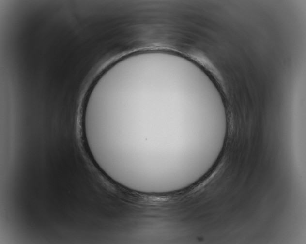 X0000088651278200705250934