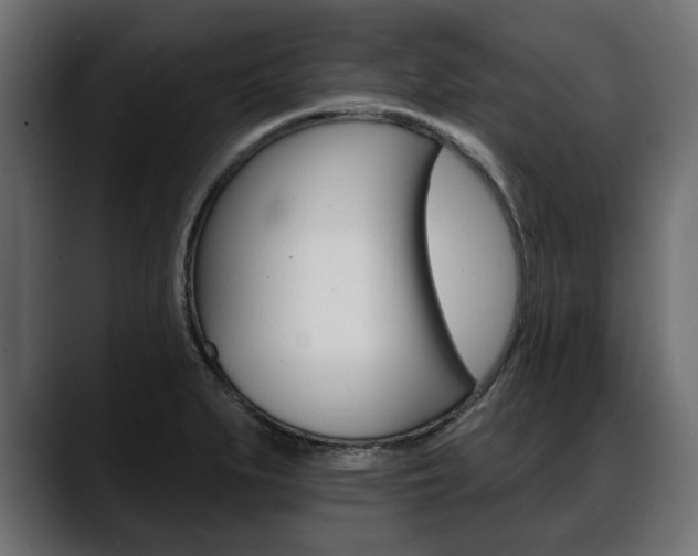 X0000088651279200705250934