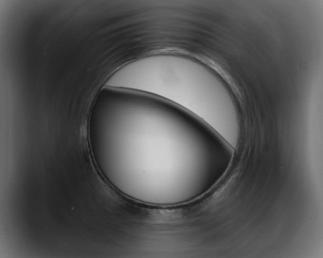 X0000088651281200705250934