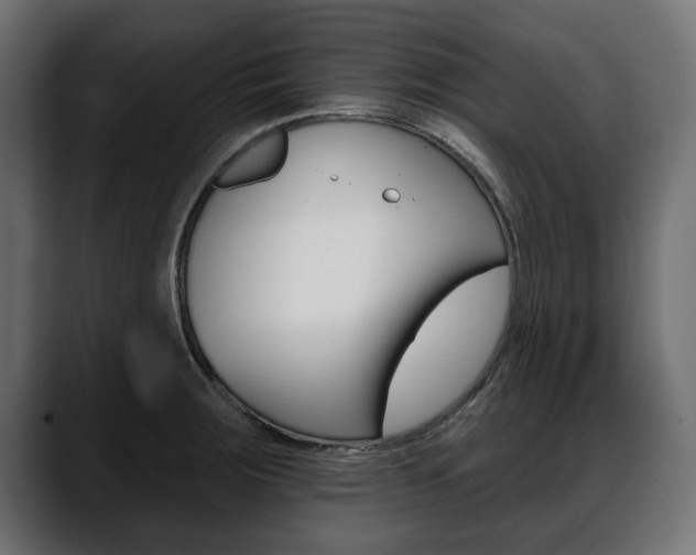 X0000088651283200705250934