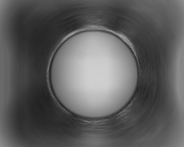 X0000088651287200705250934