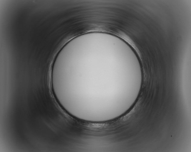 X0000088651290200705250934