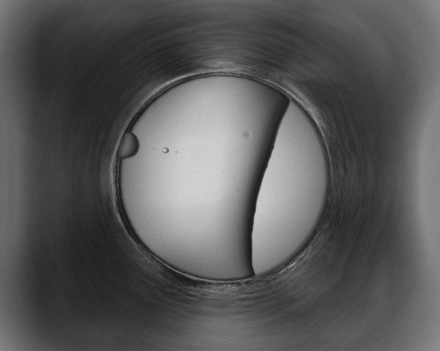 X0000088651291200705250934
