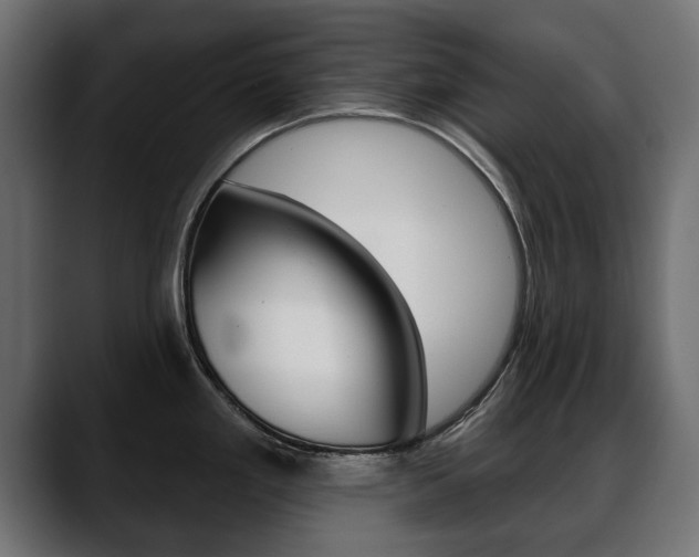 X0000088651293200705250934