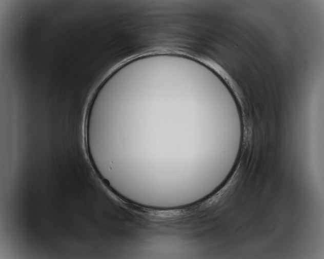 X0000088651294200705250934