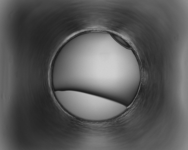 X0000088651295200705250934