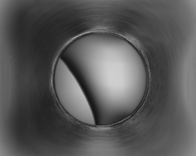 X0000088651296200705250934