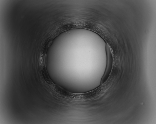 X0000088651298200705250934