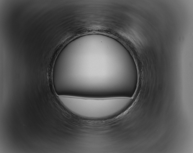 X0000088651305200705250934