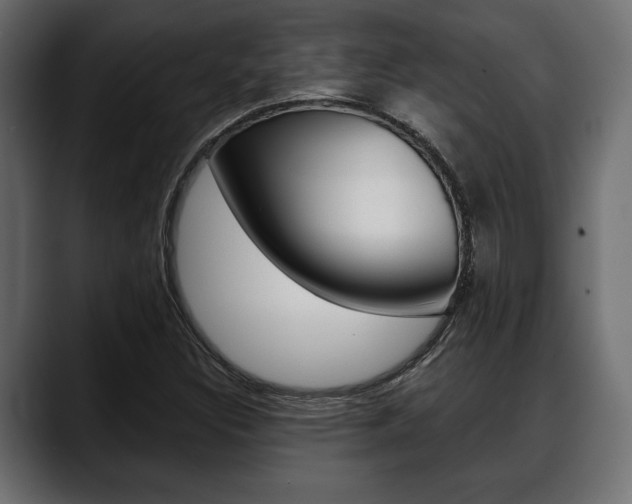 X0000088651308200705250934
