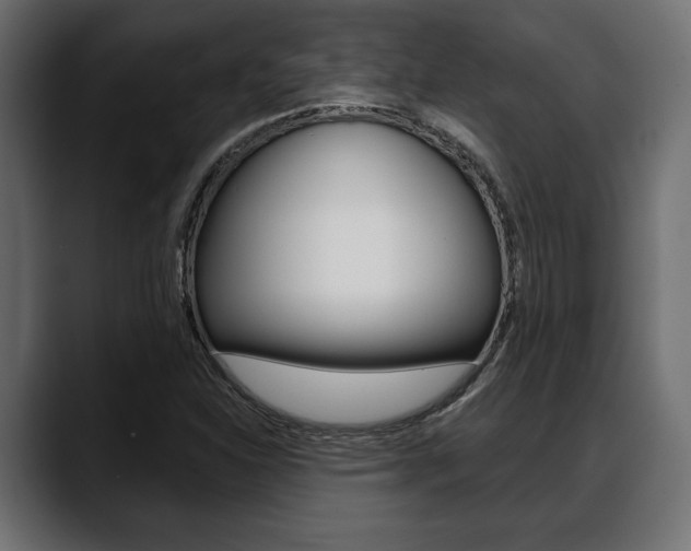 X0000088651310200705250934