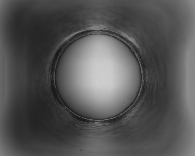 X0000088651311200705250934