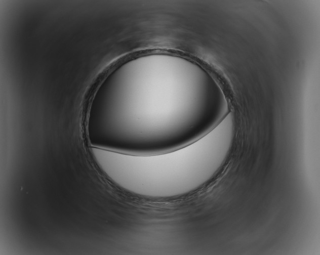 X0000088651312200705250934