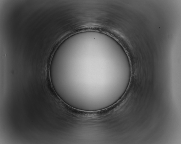 X0000088651313200705250934