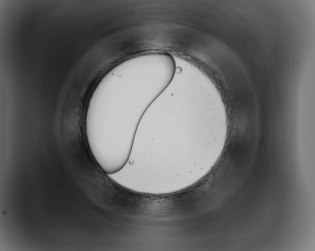 X0000088651314200705250934