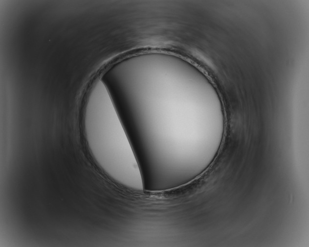 X0000088651315200705250934