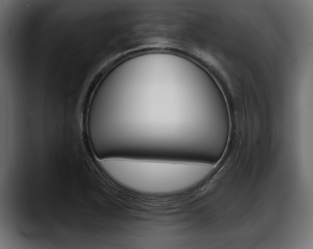 X0000088651318200705250934