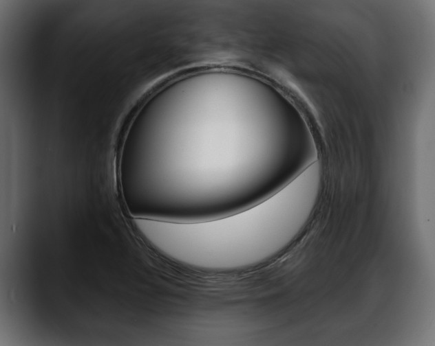 X0000088651320200705250934