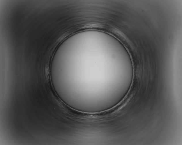 X0000088651321200705250934