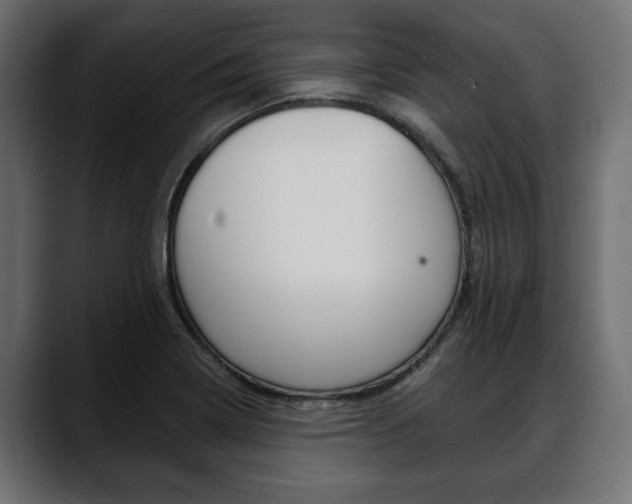 X0000088651322200705250934