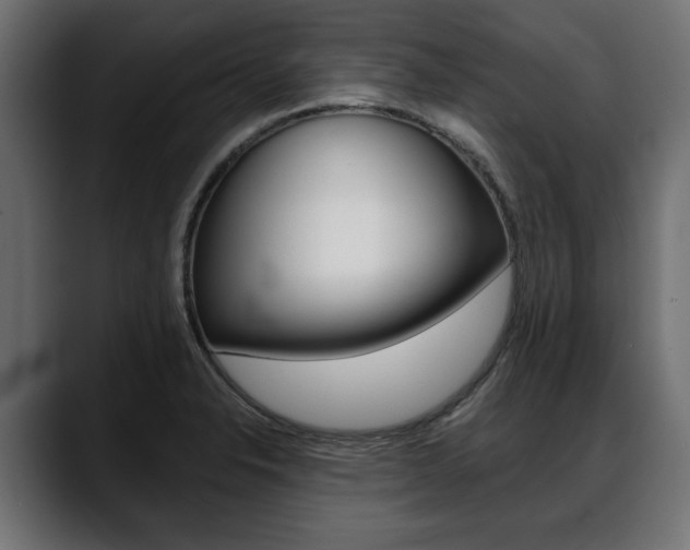 X0000088651326200705250934