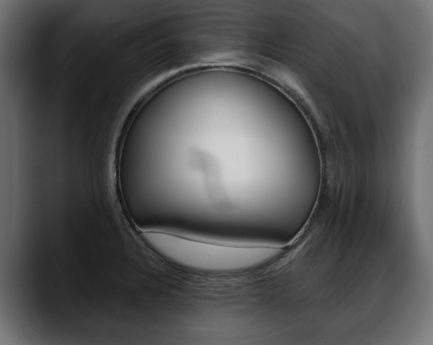X0000088651328200705250934