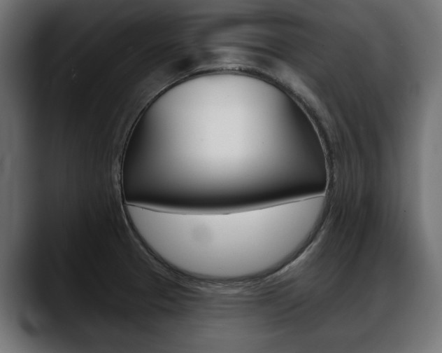X0000088651329200705250934