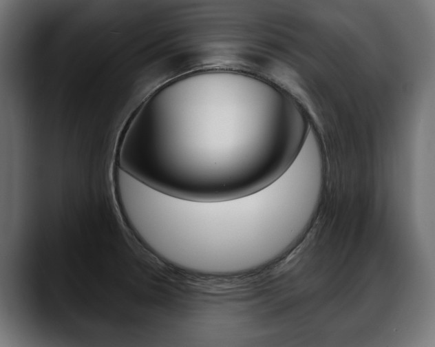 X0000088651330200705250934