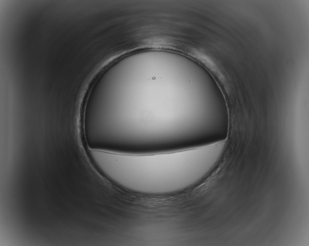 X0000088651331200705250934
