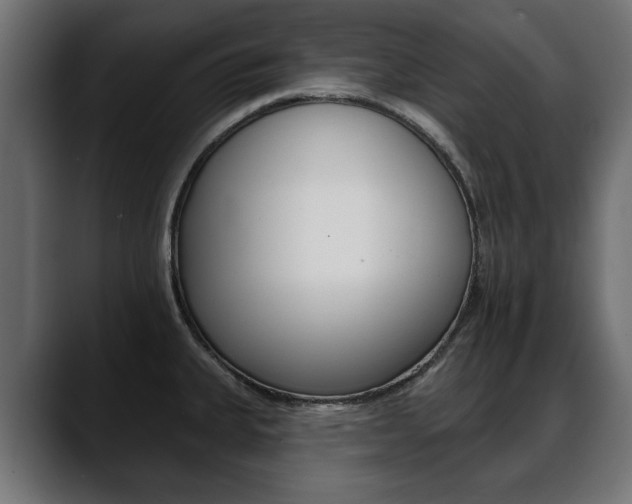 X0000088651335200705250934