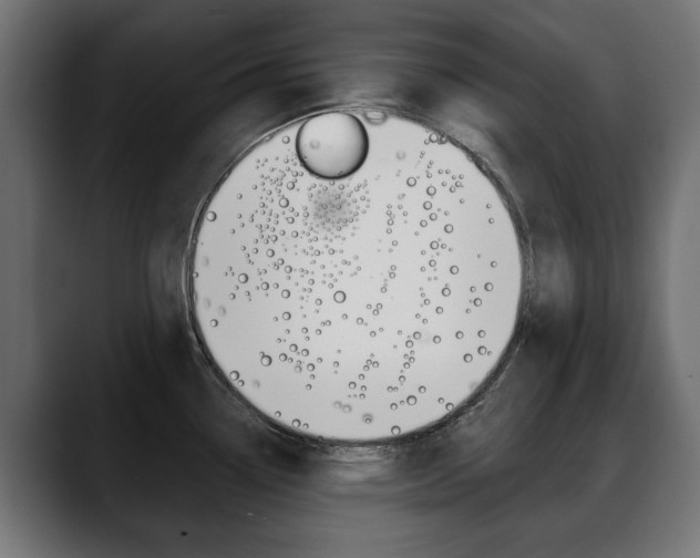 X0000088651338200705250934
