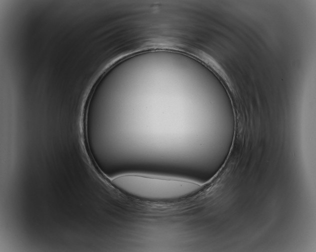 X0000088651339200705250934