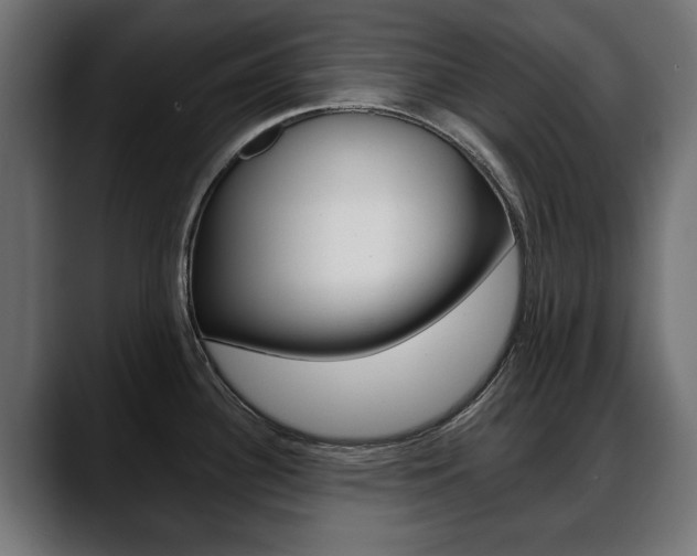 X0000088651340200705250934