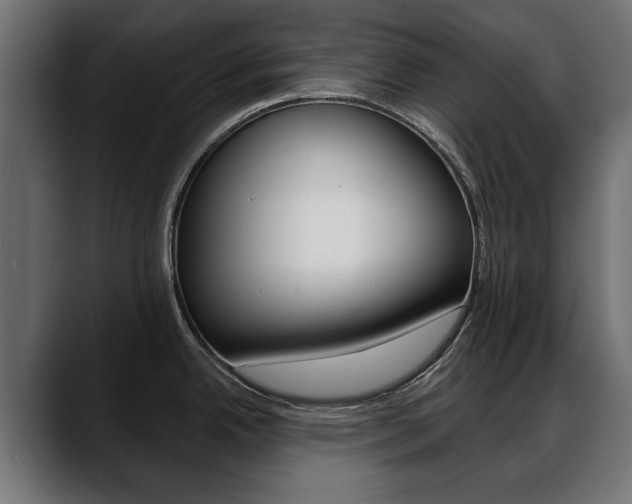 X0000088651342200705250934