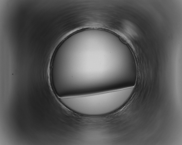 X0000088651343200705250934