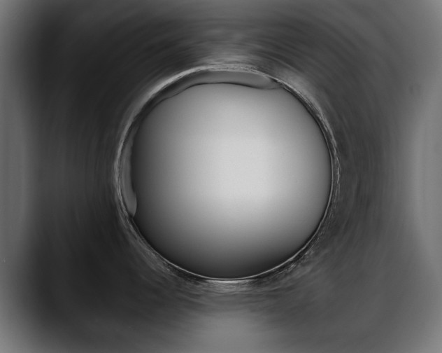 X0000088651344200705250934