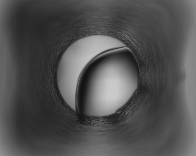 X0000088651345200705250933
