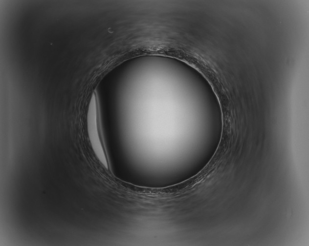 X0000088651349200705250933