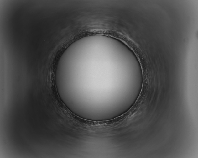 X0000088651351200705250933