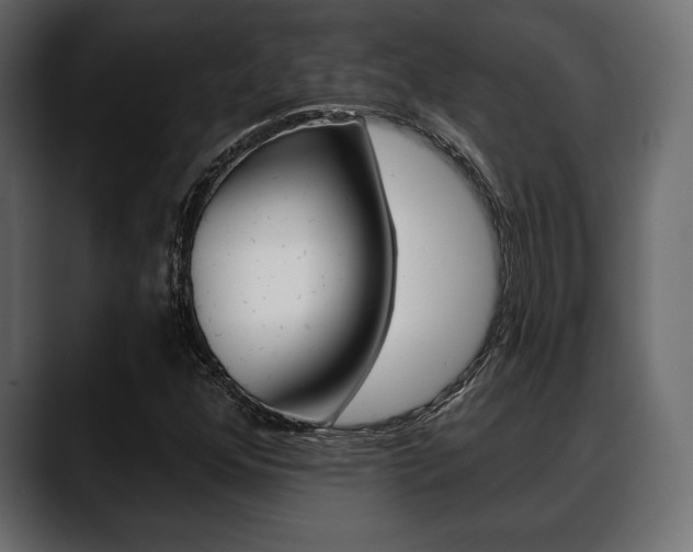 X0000088651352200705250933