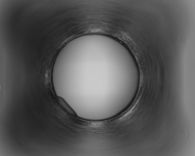 X0000088651353200705250933