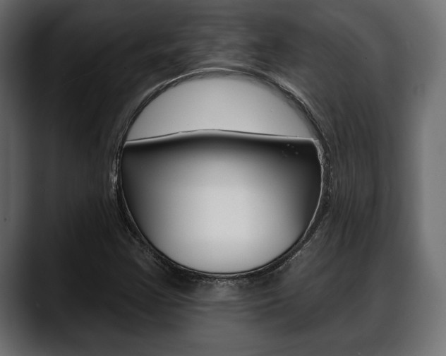 X0000088651355200705250933