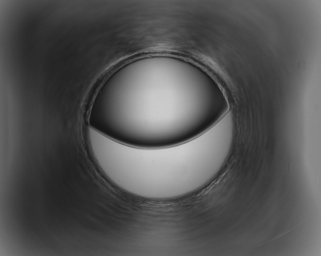 X0000088651356200705250933