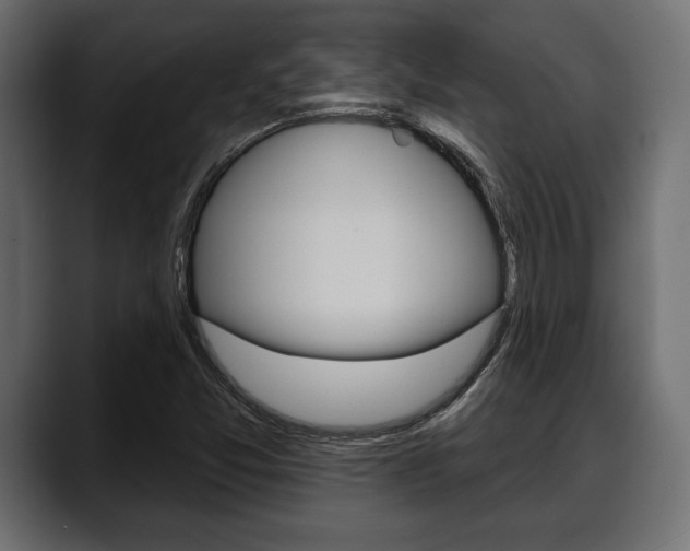 X0000088651357200705250933