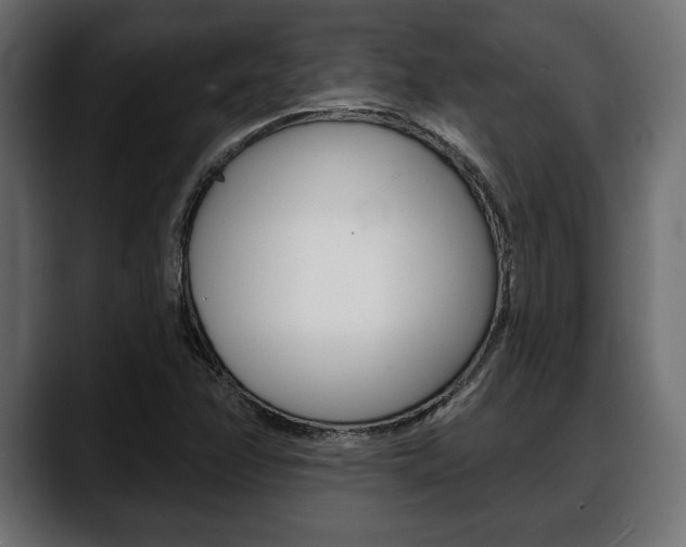 X0000088651358200705250933
