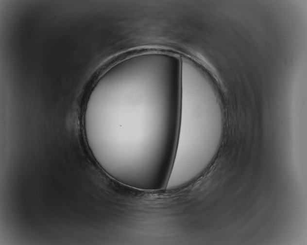 X0000088651360200705250933